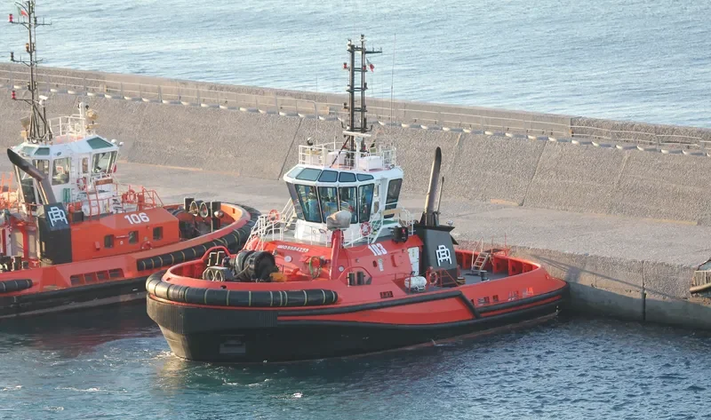 NORVEGIA General Cargo IMO 9584255 photo 9