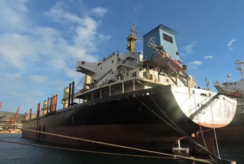 EAST AYUTTHAYA Bulk Carrier IMO 9584293