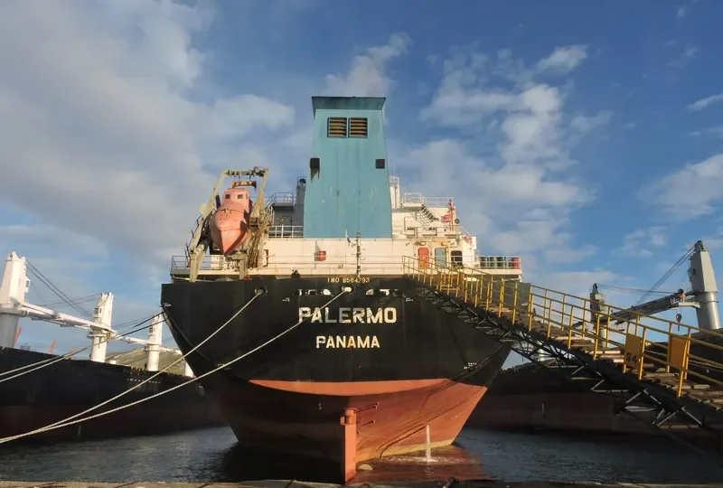 EAST AYUTTHAYA Bulk Carrier IMO 9584293 photo 2