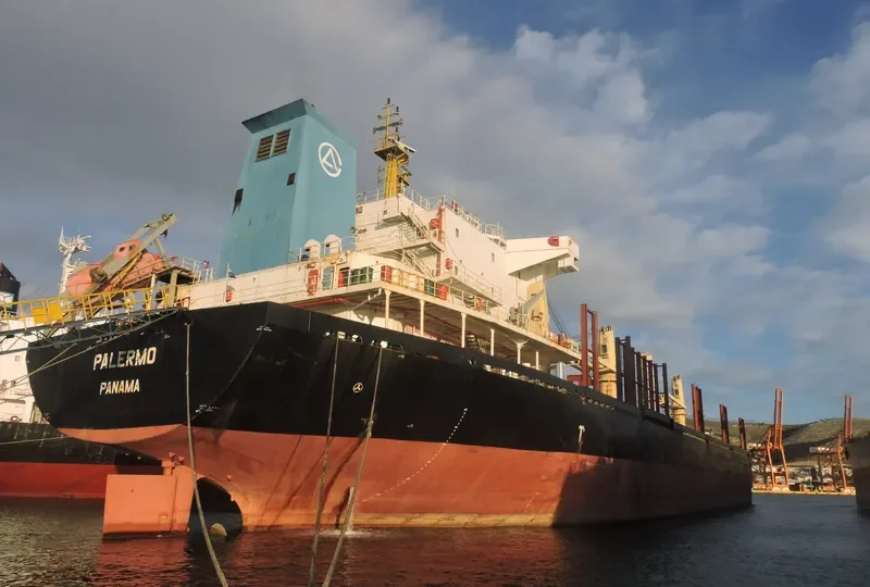 EAST AYUTTHAYA Bulk Carrier IMO 9584293 photo 3