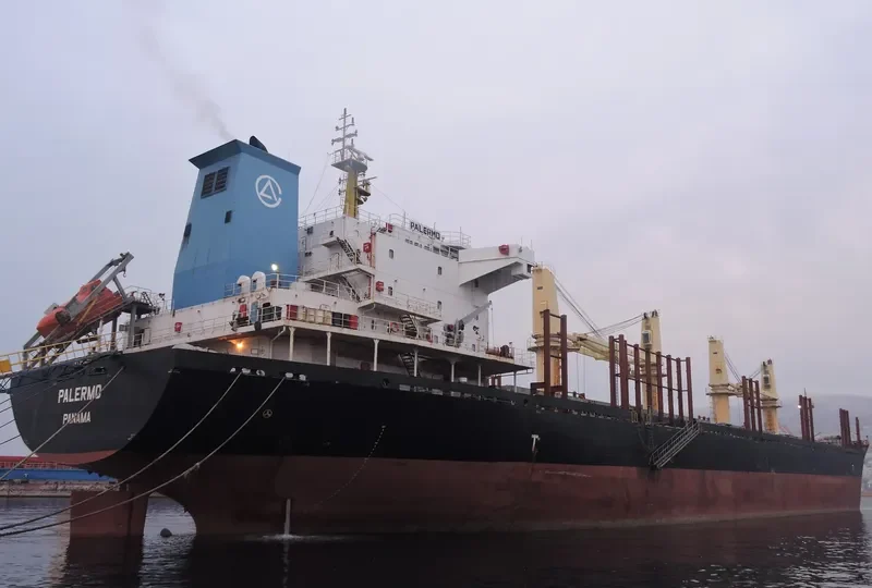 EAST AYUTTHAYA Bulk Carrier IMO 9584293 photo 4