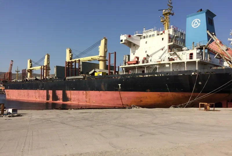 EAST AYUTTHAYA Bulk Carrier IMO 9584293 photo 6