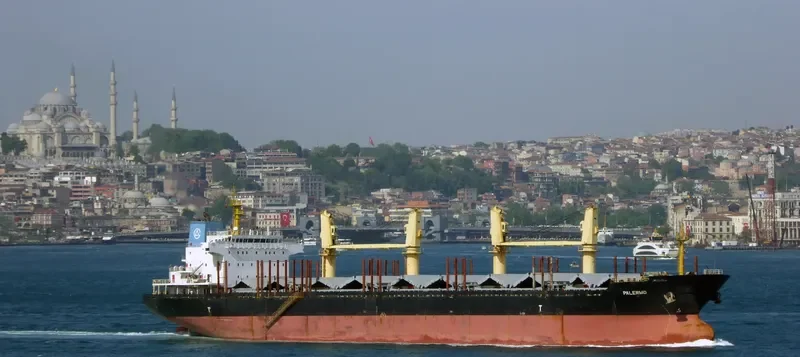 EAST AYUTTHAYA Bulk Carrier IMO 9584293 photo 7