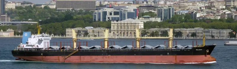 EAST AYUTTHAYA Bulk Carrier IMO 9584293 photo 8