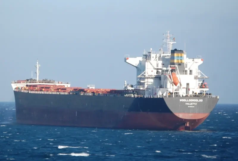 WOOLLOOMOOLOO Bulk Carrier IMO 9584499