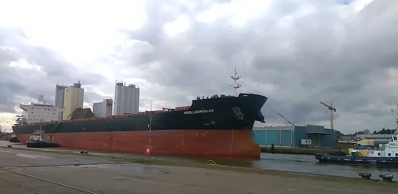 WOOLLOOMOOLOO Bulk Carrier IMO 9584499 photo 6