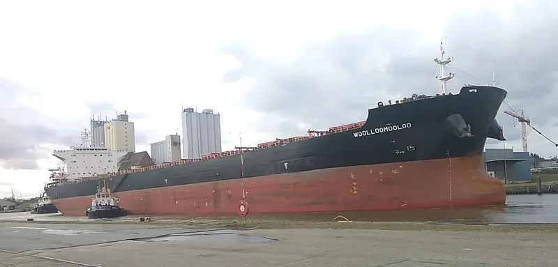 WOOLLOOMOOLOO Bulk Carrier IMO 9584499 photo 7