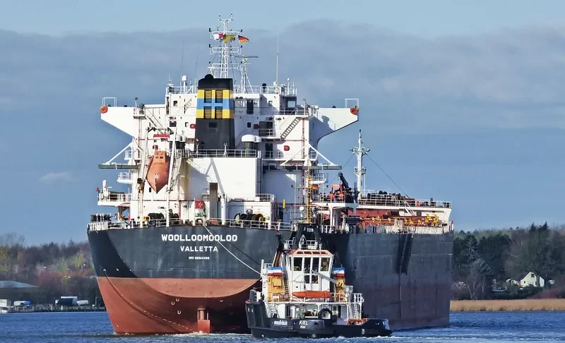 WOOLLOOMOOLOO Bulk Carrier IMO 9584499 photo 8