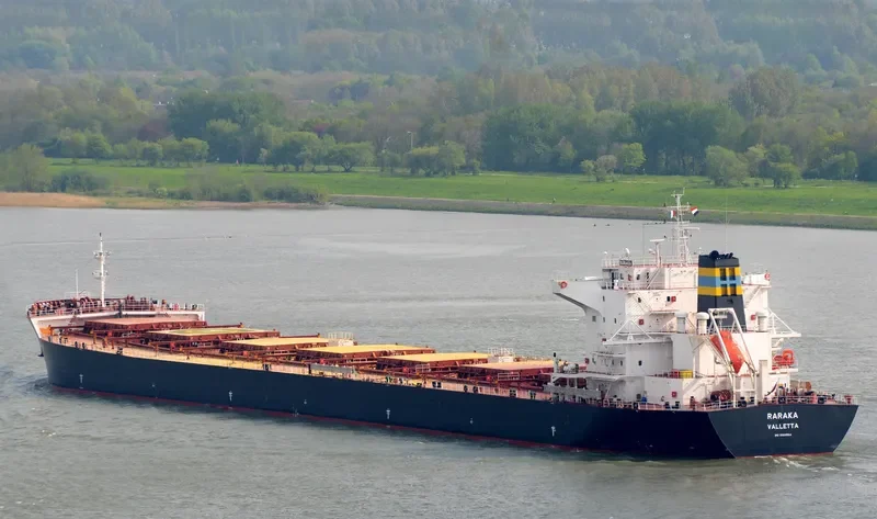 RARAKA Bulk Carrier IMO 9584504