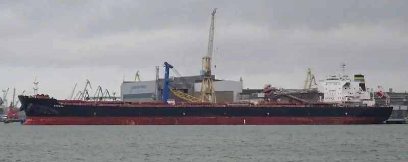 RARAKA Bulk Carrier IMO 9584504 photo 3
