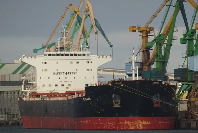 RARAKA Bulk Carrier IMO 9584504 photo 6