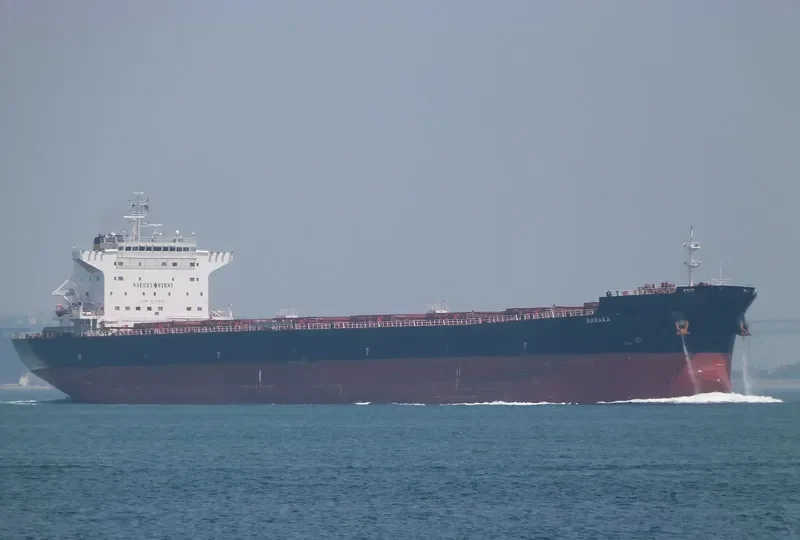 RARAKA Bulk Carrier IMO 9584504 photo 8