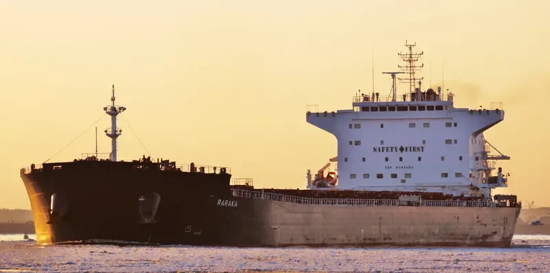 RARAKA Bulk Carrier IMO 9584504 photo 9