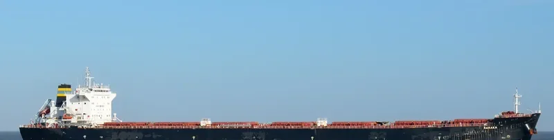 RARAKA Bulk Carrier IMO 9584504 photo 10