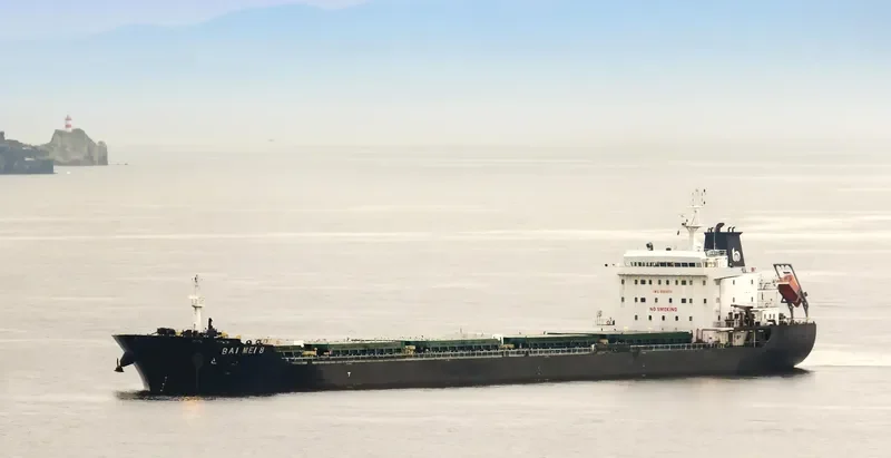 BAI MEI 8 Bulk Carrier IMO 9584578