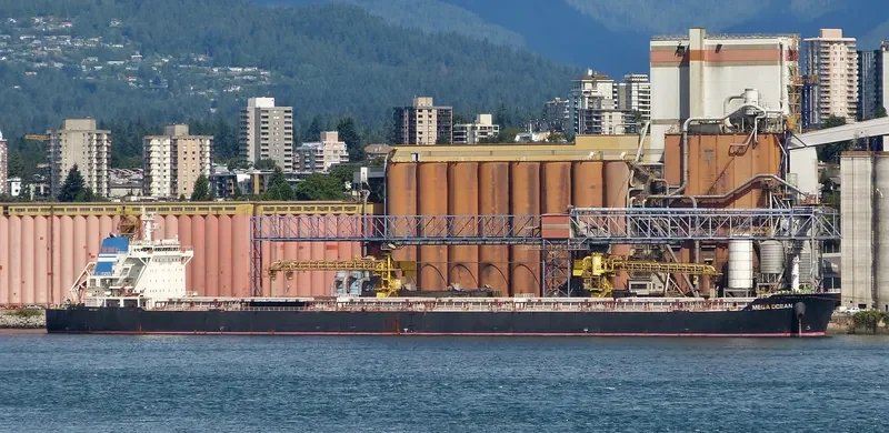 SEA OPAL Bulk Carrier IMO 9584619 photo 5