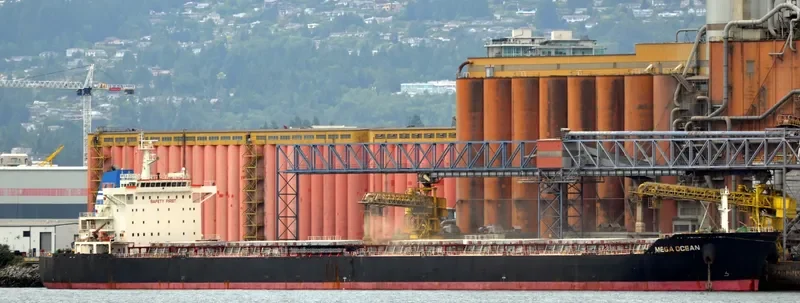 SEA OPAL Bulk Carrier IMO 9584619 photo 6