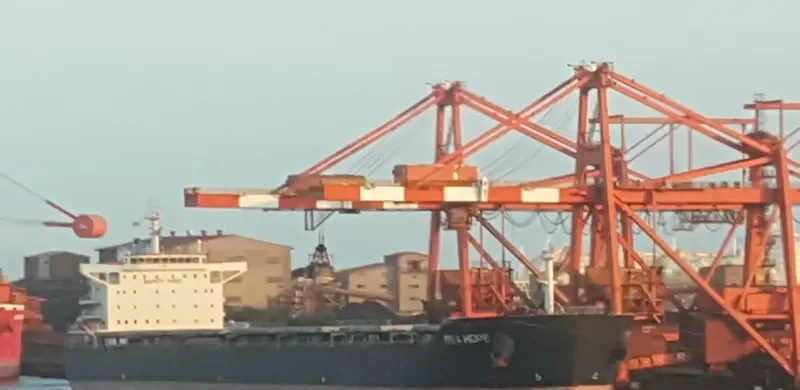 SEA HOPE Bulk Carrier IMO 9584748