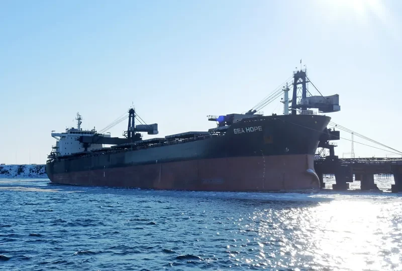 SEA HOPE Bulk Carrier IMO 9584748 photo 3