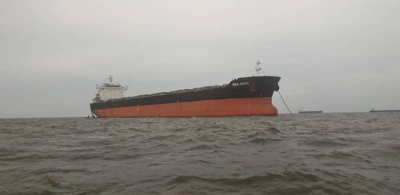 SEA HOPE Bulk Carrier IMO 9584748 photo 4