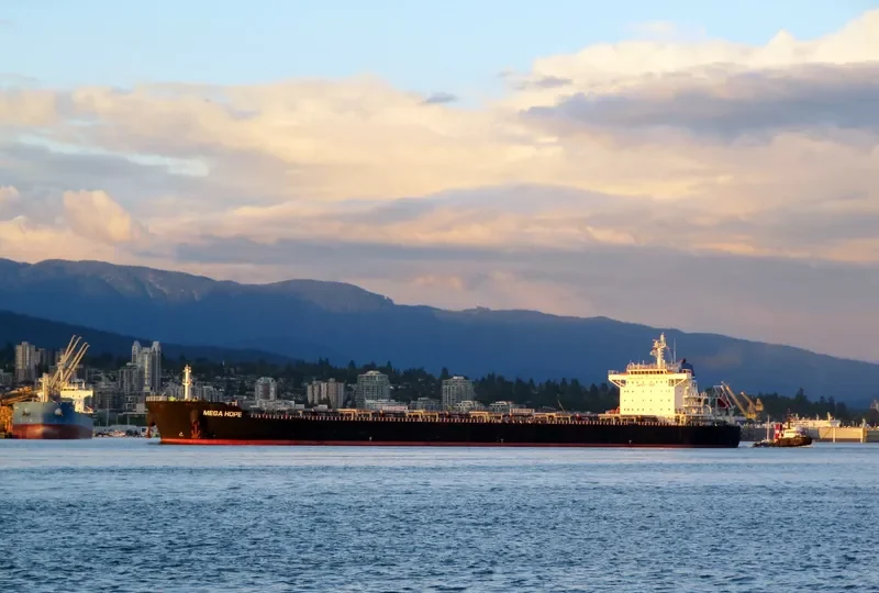 SEA HOPE Bulk Carrier IMO 9584748 photo 7