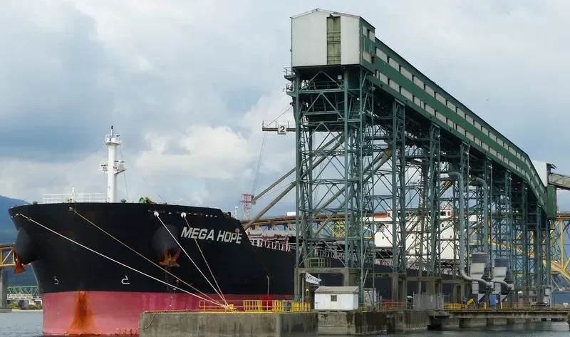 SEA HOPE Bulk Carrier IMO 9584748 photo 8