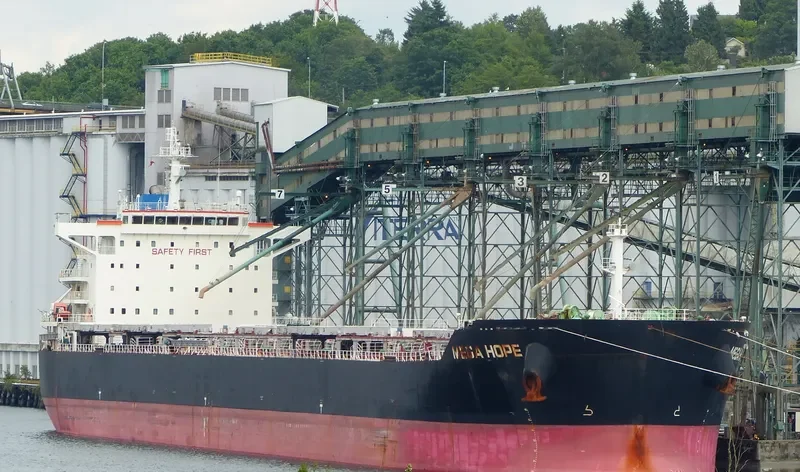 SEA HOPE Bulk Carrier IMO 9584748 photo 9