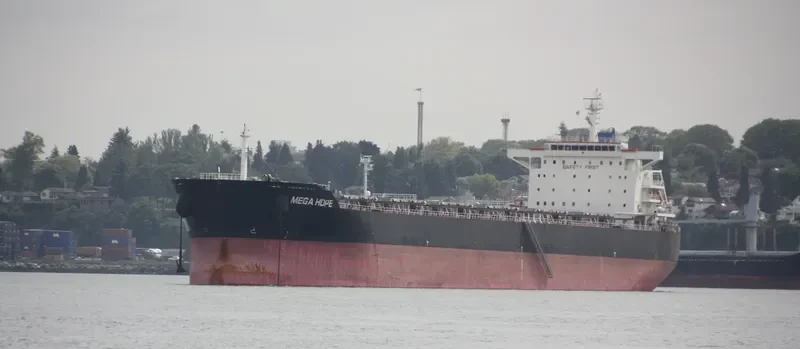 SEA HOPE Bulk Carrier IMO 9584748 photo 10