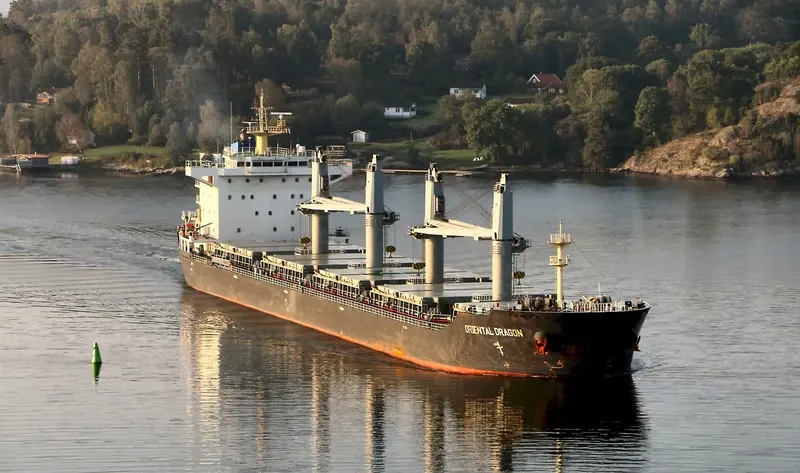 DONG FANG WEI YE Bulk Carrier IMO 9584798