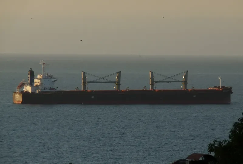 INDIGO CEFIRO Bulk Carrier IMO 9584891 photo 2