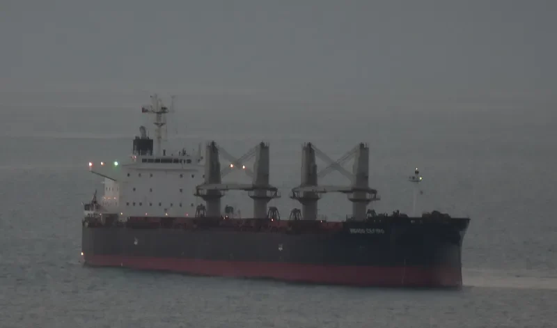INDIGO CEFIRO Bulk Carrier IMO 9584891 photo 3