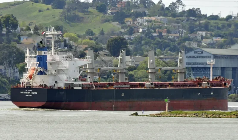 INDIGO CEFIRO Bulk Carrier IMO 9584891 photo 5