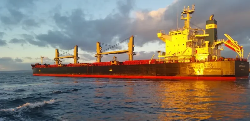 INDIGO CEFIRO Bulk Carrier IMO 9584891 photo 8