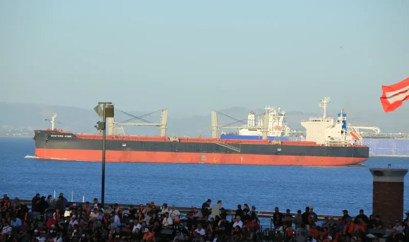 INDIGO CEFIRO Bulk Carrier IMO 9584891 photo 9