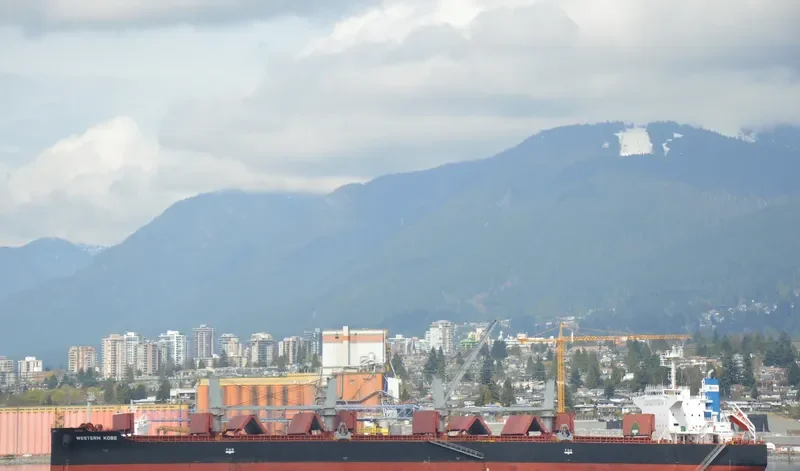 INDIGO CEFIRO Bulk Carrier IMO 9584891 photo 10