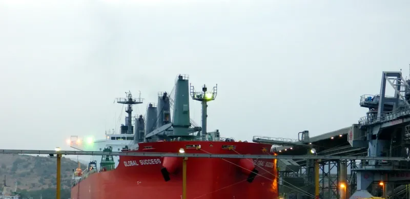 GLOBAL SUCCESS Bulk Carrier IMO 9584906 photo 2