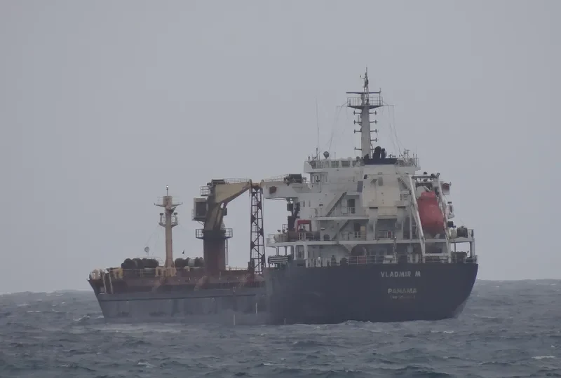 AFINA I Bulk Carrier IMO 9585015 photo 3
