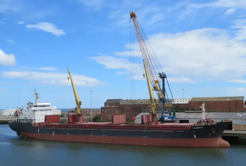 AFINA I Bulk Carrier IMO 9585015 photo 7