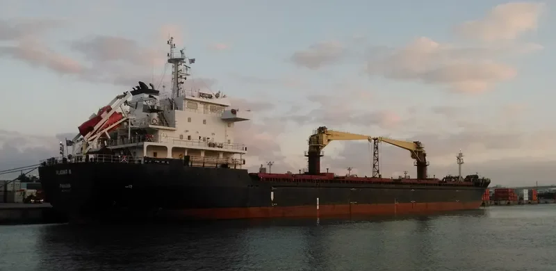 AFINA I Bulk Carrier IMO 9585015 photo 9