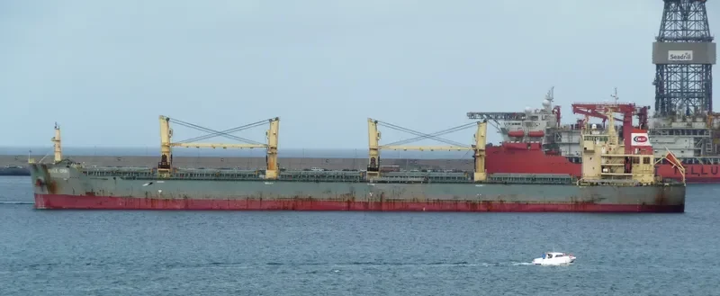 HG SINGAPORE Bulk Carrier IMO 9585314