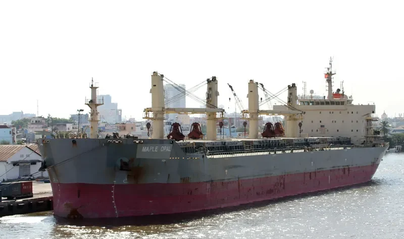 HG SINGAPORE Bulk Carrier IMO 9585314 photo 2