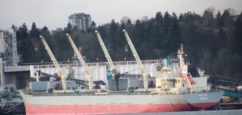 HG SINGAPORE Bulk Carrier IMO 9585314 photo 5