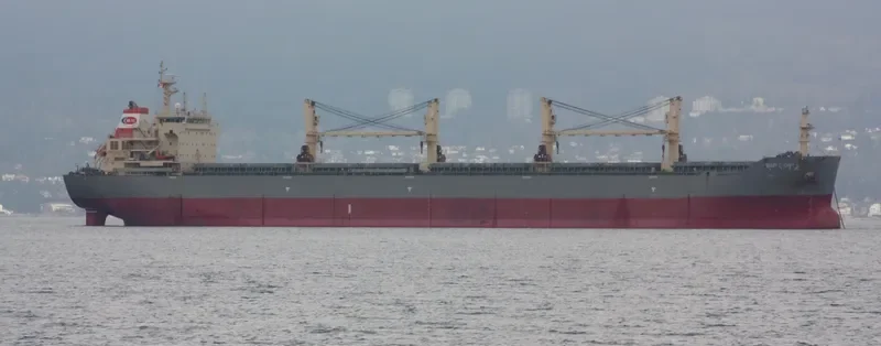 HG SINGAPORE Bulk Carrier IMO 9585314 photo 6
