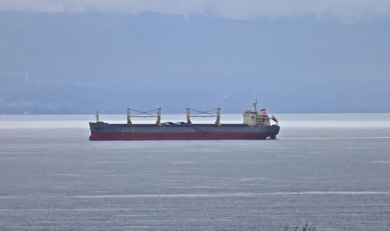 HG SINGAPORE Bulk Carrier IMO 9585314 photo 7