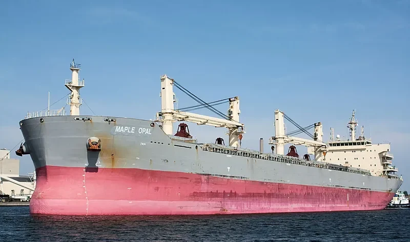 HG SINGAPORE Bulk Carrier IMO 9585314 photo 10