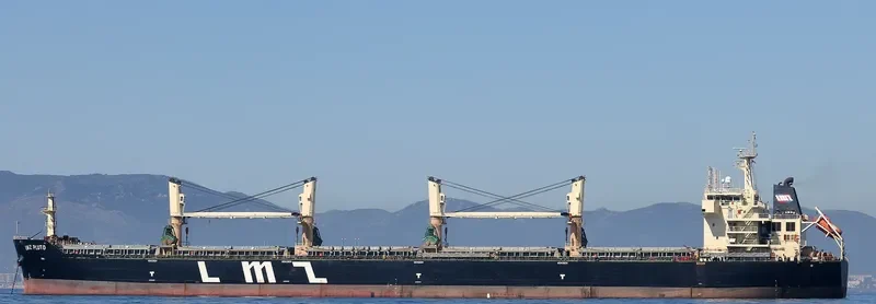 LMZ PLUTO Bulk Carrier IMO 9585326