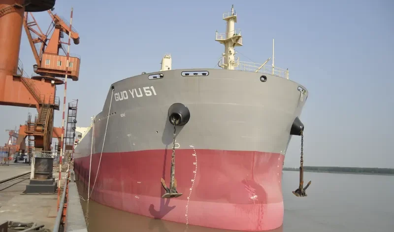 LMZ PLUTO Bulk Carrier IMO 9585326 photo 4