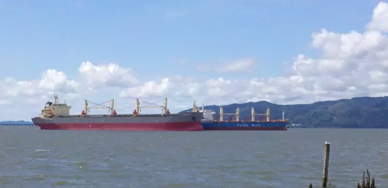 LMZ PLUTO Bulk Carrier IMO 9585326 photo 8