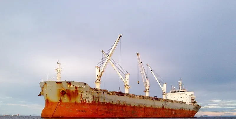 XIN HAI TONG 26 Bulk Carrier IMO 9585338 photo 2