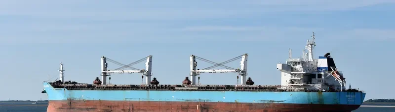 XIN HAI TONG 26 Bulk Carrier IMO 9585338 photo 4